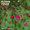 Гель с сухоцветами RockNail Flower Power FG08 Rock'n'Rose 10мл-#234935