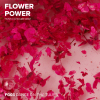 Гель с сухоцветами RockNail Flower Power FG03 Dance On The Tulips 10мл-#234891