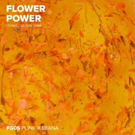 Гель с сухоцветами RockNail Flower Power FG05 Punk Ikebana 10мл