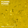 Гель с сухоцветами RockNail Flower Power FG04 Lilies For Myself 10мл-#237506