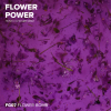 Гель с сухоцветами RockNail Flower Power FG07 Flowerbomb 10мл-#238976