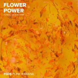 Гель с сухоцветами RockNail Flower Power FG05 Punk Ikebana 10мл